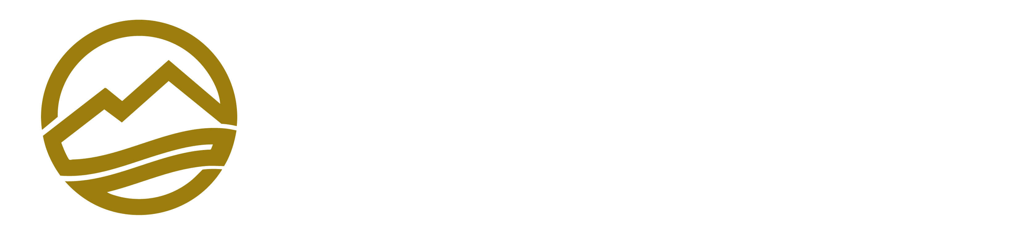 Minconsult Exploration Services